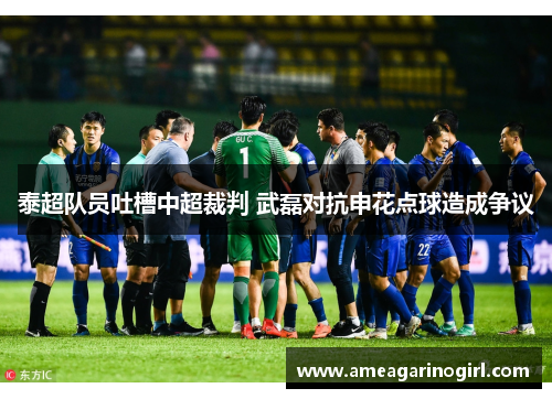 泰超队员吐槽中超裁判 武磊对抗申花点球造成争议